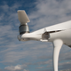 Image for article titled The DJI Phantom 4 Is the Best Drone I’ve Ever Crashed